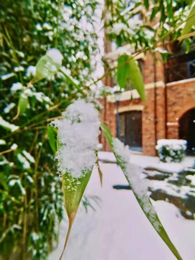 雪后小径